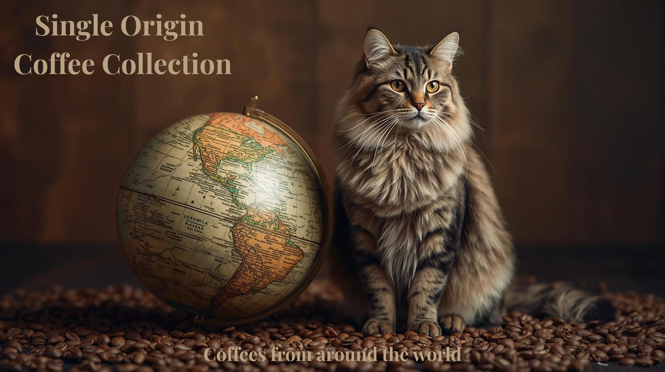 Single Origin Coffees